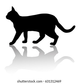 Vector silhouette of a cat,shadow,  black color, isolated on white background