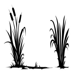 Vector Silhouette Of Cattail Isolated On White Background