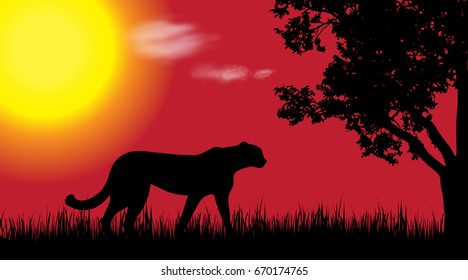 Vector silhouette of cheetah in nature at sunset.