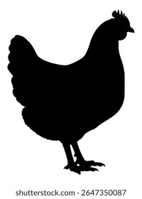 Silhueta Vetorial De Um Frango.