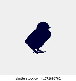 Vector silhouette of a chicken on a white background. vector