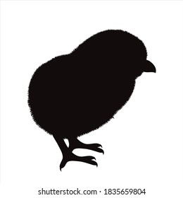 Vector silhouette of chicken on white background. Symbol of farm animal and poultry.