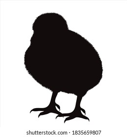 Vector silhouette of chicken on white background. Symbol of farm animal and poultry.
