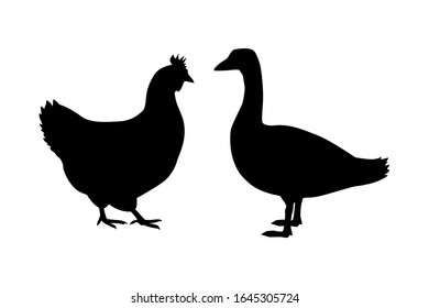 Vector silhouette of chicken, rooster, goose. Isolated on white background. For an icon or logo or packaging design