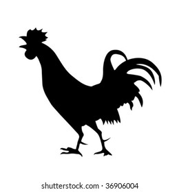 vector silhouette of the cock on white background