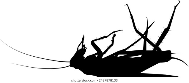 Vector silhouette of a cockroach lying on its back isolated on a white background. Dead cockroach black icon.