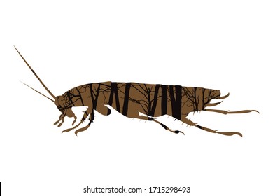 Vector silhouette of cockroach with trees on background. Symbol of insect.