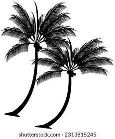 silueta vectorial de un coco en negro sobre fondo blanco