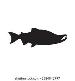 Vector silhouette of Coho Salmon, Red Sallmon
