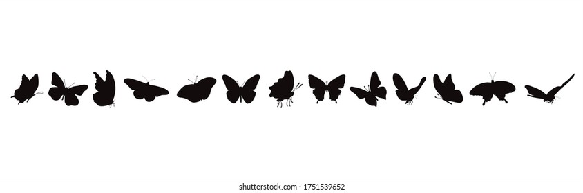 Vector silhouette of collection of butterflies on white background. Symbol of insect.