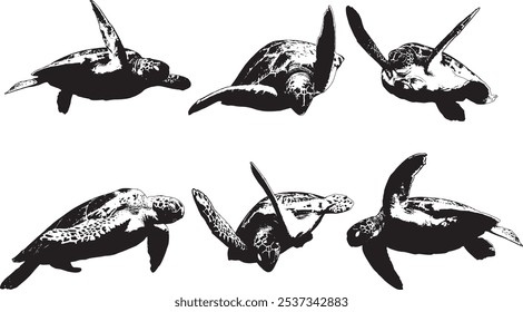 Vector Silhouette Collection: Clean and Bold Designs Set of Sea Turtle in many action on white isolated background