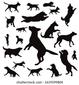 Vector silhouette of collection of dogs on a white background. Symbol of home animal.