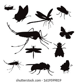 Vector silhouette of collection of flying insect on a white background.