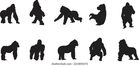 A vector silhouette collection of Gorillas for artwork compositions.