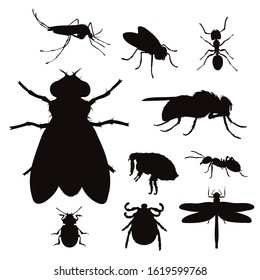 Vector silhouette of collection of insect on a white background. Symbol of parasites and fly bugs.