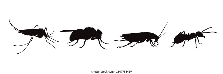 Silueta vectorial de colección de insectos sobre fondo blanco. Símbolo de parásitos y bichos de mosca.