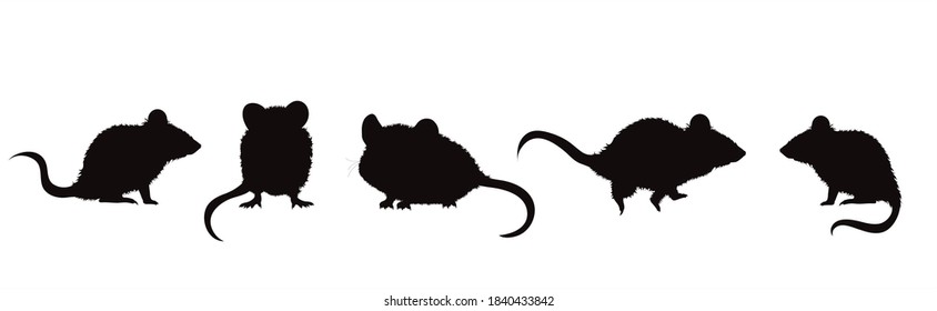 Vector Silhouette Of Collection Of Mouse On White Background. Symbol Of Farm Animal And Rodent.