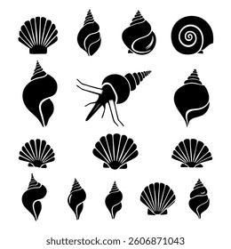 Vector silhouette collection of sea shells and pearl shell isolated on white background 