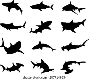 Vector Silhouette Collection of sharks for logos and artwork compositions