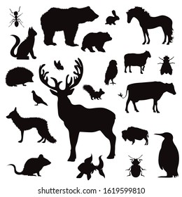 Vector silhouette of collection of wild animal on a white background. Symbol of creatures of forest.