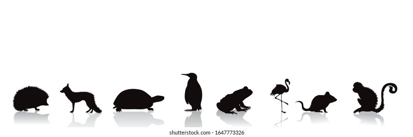 Vector silhouette of collection of wild animals on white background. Symbol of nature.