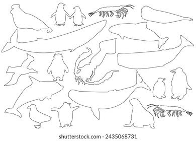 Vector silhouette contour line shape black set of animals in Antarctica. Hand drawn collection of whales, penguins, skua, krill, seals, porpoise.
Isolated icon illustrations on white background