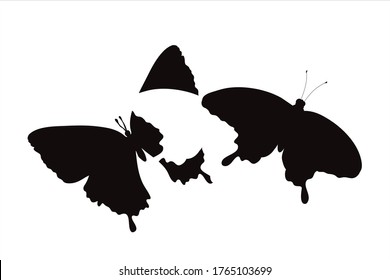 Vector silhouette of couple of butterflies. Symbol of insect.

