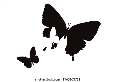 Vector silhouette of couple of butterflies. Symbol of insect.