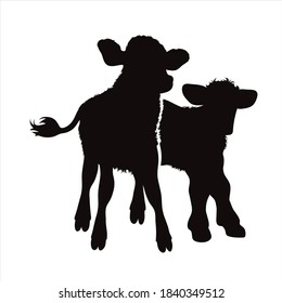 Vector silhouette of couple of calf on white background. Symbol of farm animal.