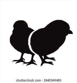 Silueta vectorial de un par de pollos de fondo blanco. Símbolo de animal de granja y aves de corral.
