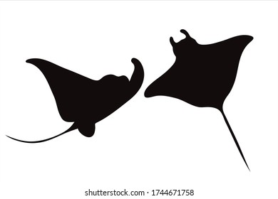 Vector silhouette of couple of manta on white background. Symbol of ocean animal.