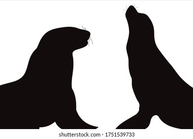 Vector silhouette of couples of sea lions on white background. Symbol of animal.