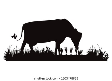 Vector silhouette of cow eat carrot on garden. Symbol of animal, field, farm, destroy, corp, pest.