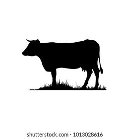 Vector silhouette of the cow. Farm animal on the grass of the pasture.