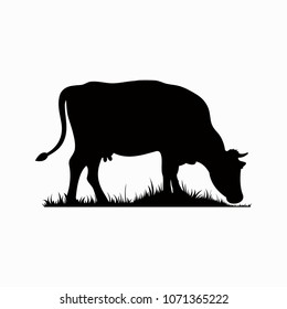 Vector silhouette of the cow. Farm animal on the grass of the pasture.