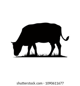 Vector silhouette of the cow. Farm animal on the grass of the pasture.