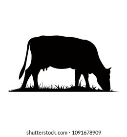 Vector silhouette of the cow. Farm animal on the grass of the pasture.