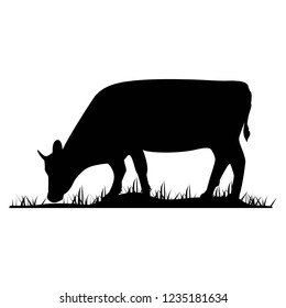 Vector silhouette of the cow. Farm animal on the grass of the pasture.
