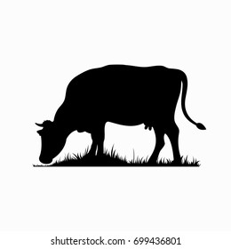 Vector silhouette of the cow. Farm animal on the grass of the pasture.