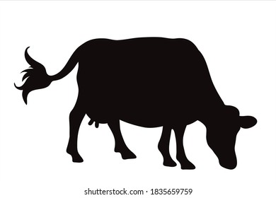 Vector silhouette of cow on white background. Symbol of farm animal.