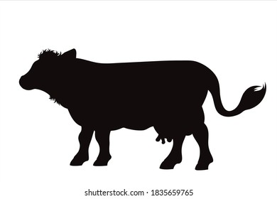 Vector silhouette of cow on white background. Symbol of farm animal.