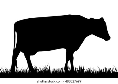 Vector silhouette of cow on white background.