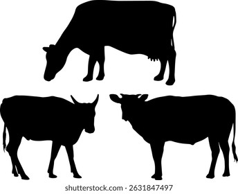 vector silhouette of a cow in side view. Simple black shape ideal for use in agricultural designs, farm logos, food packaging, meat industry graphics, rural themes, and nature-based illustrations.