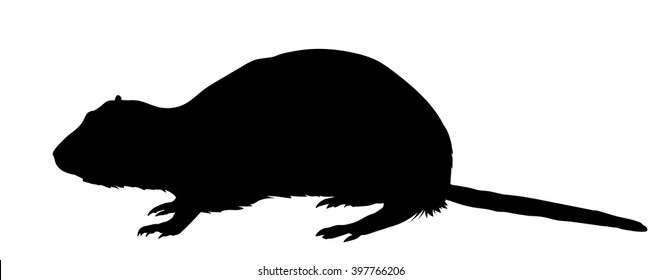 Vector silhouette of the Coypu (or Nutria).