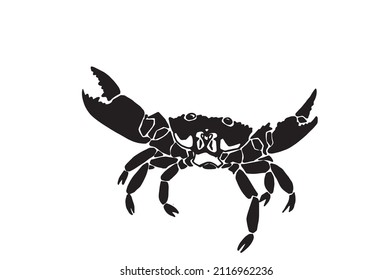 Vector silhouette of crab , graphical illustration, seafood element