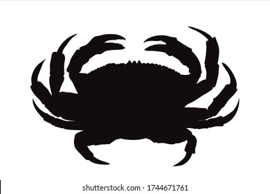Vector silhouette of crab on white background. Symbol of ocean animal.