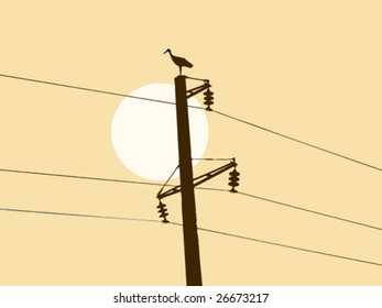 vector silhouette of the crane