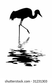 vector silhouette of the crane amongst water