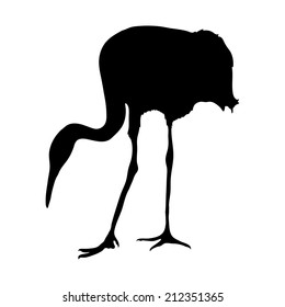Vector silhouette. Crane bird on the white.