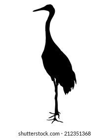 Vector silhouette. Crane bird on the white.